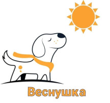 Акция "Веснушка" Акция "Веснушка".
