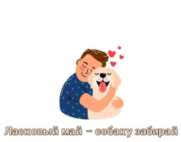 «Ласковый май-собаку забирай» «Ласковый май-собаку забирай».